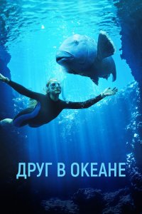  Друг в океане (2022) 