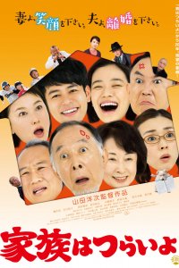  Какая прекрасная семья (2016) 
